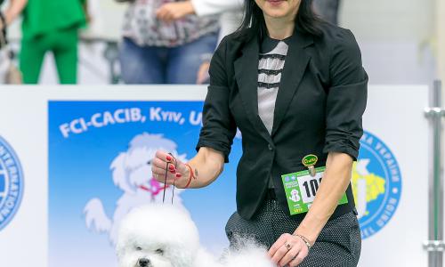 תערוכת כלבים בינלאומית באוקראינה 23.08.2019 - 25.08.2019