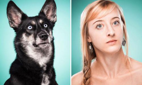 תמונות של בעלי כלבים שחוזרים על חיות